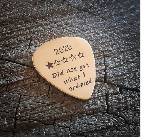 2020 1 star review pick - bronze guitar pick