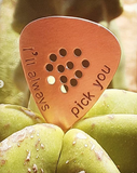 copper guitar pick with holes for improved grip