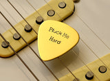 Pluck me hard bronze guitar pick for the serious musician