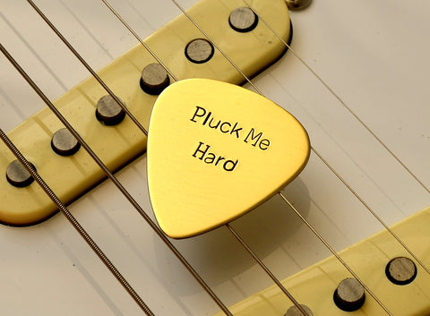 Pluck me hard bronze guitar pick for the serious musician Nici s Picks