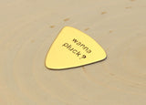 Wanna Pluck Triangular Bronze Guitar Pick